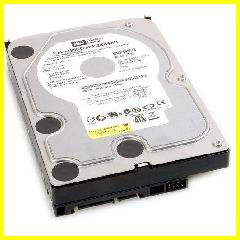 Vendita Vendita FGP003LG - HDD WD SATA II 320GB 7200RPM